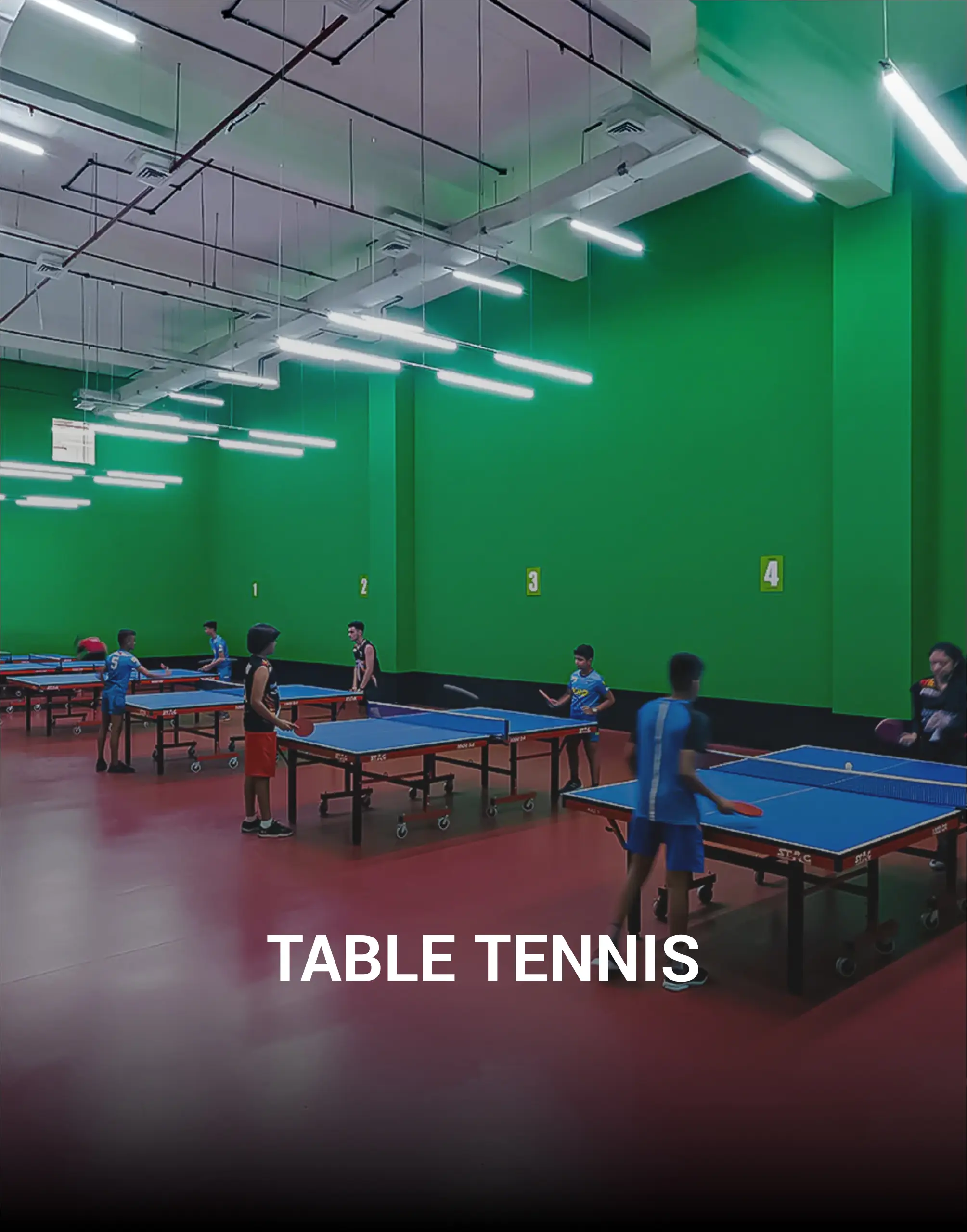 TABLE TENNIS.jpg